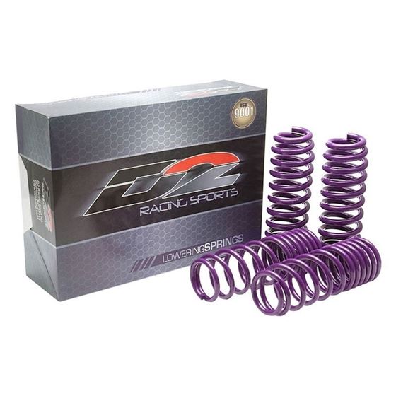 D2 Racing PRO Lowering Springs for 2009-2013 Toy-2